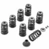 Harley Davidson Screamin Eagle Performance Valve Spring Kit Powertrain
