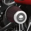Harley Davidson Screamin Eagle Heavy Breather Decorative Endcap- Willie G Skull