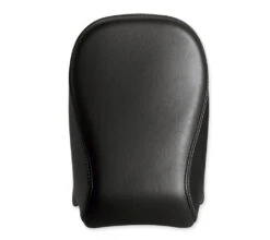 Harley Davidson Passenger Pillion Forty-Eight 2016 Style