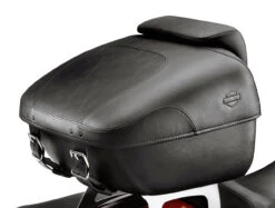 Harley Davidson Tour-Pak Bag Vinyl