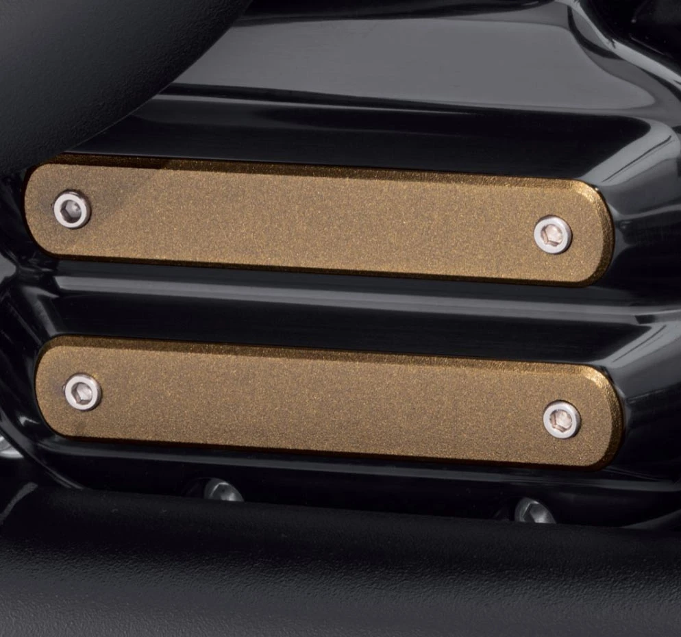 Harley Davidson Dominion Insert, Large - Bronze – Bild 2