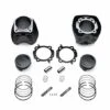 Harley Davidson Screamin Eagle Pro 117 Cui Kit, Black Highlighted